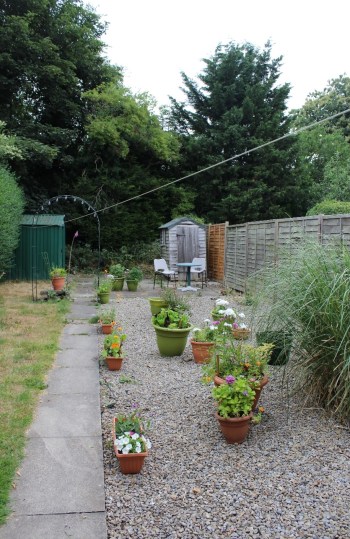 Back garden 2018.
