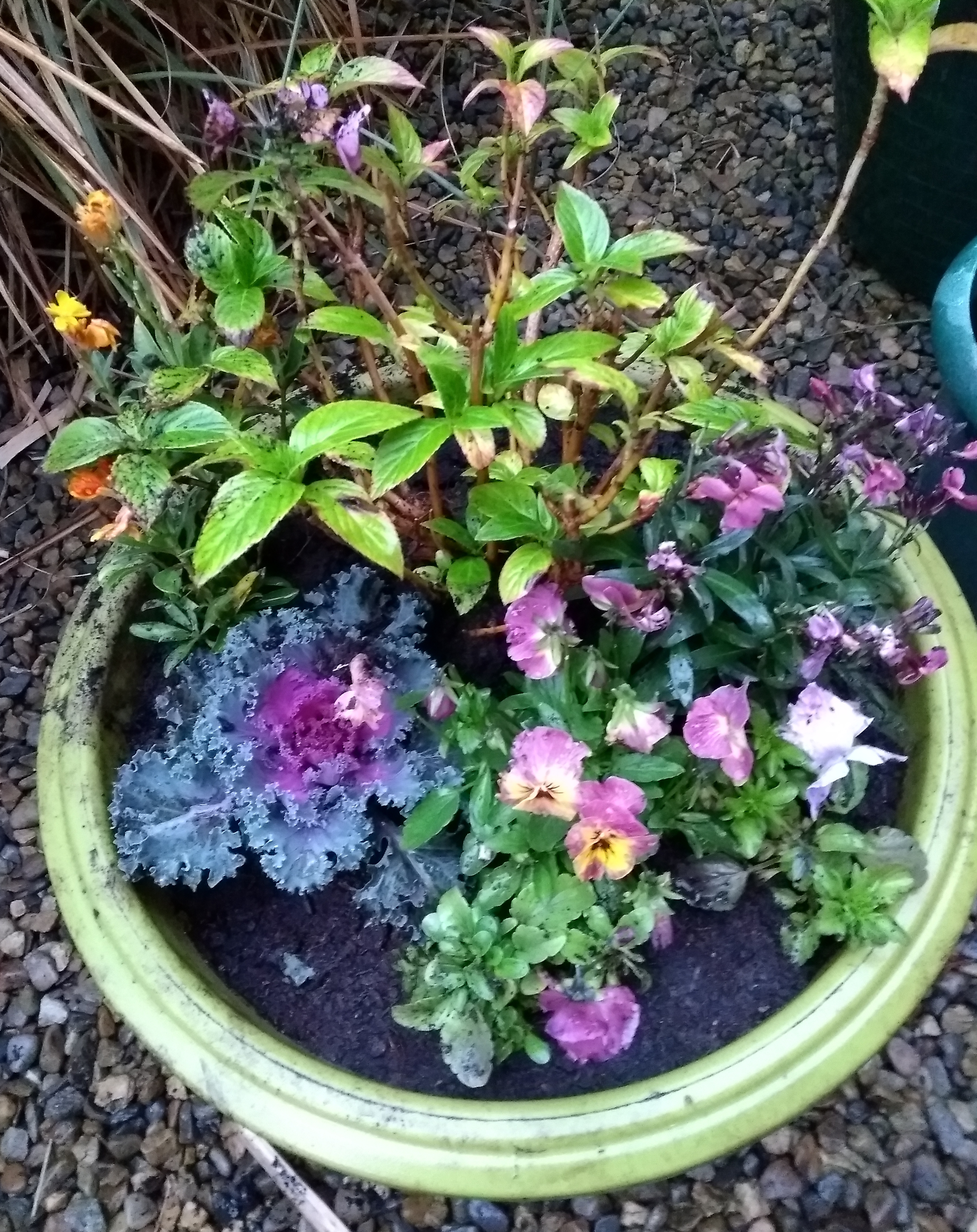 Green garden container of purple flowers