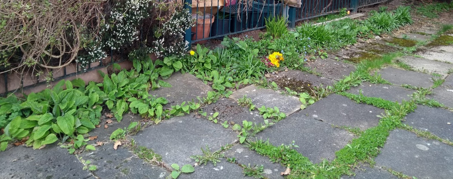 side border winter very early spring (2)