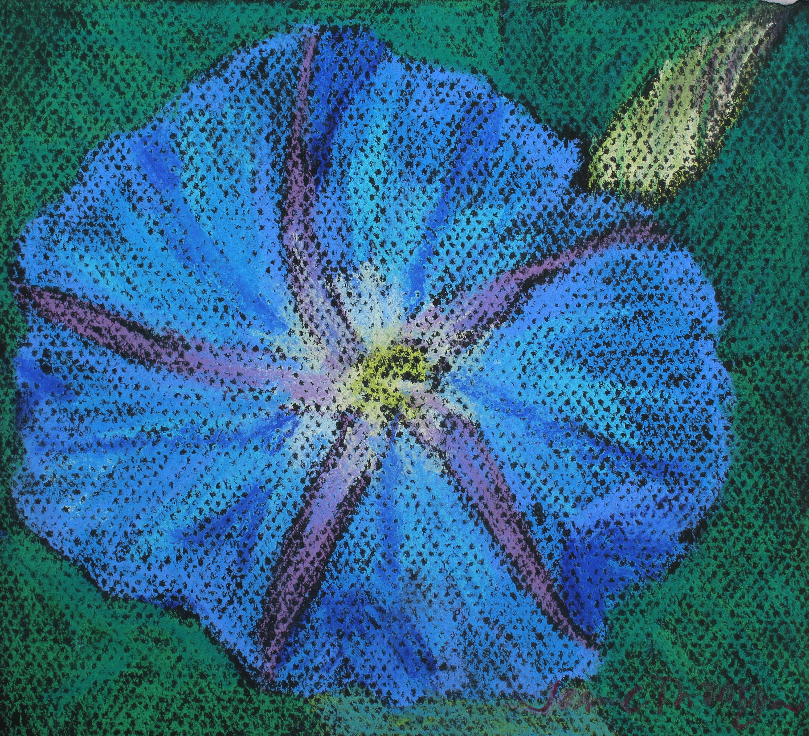 blue flower with green background