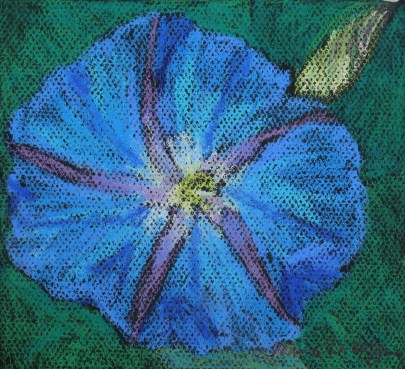 blue flower with green background