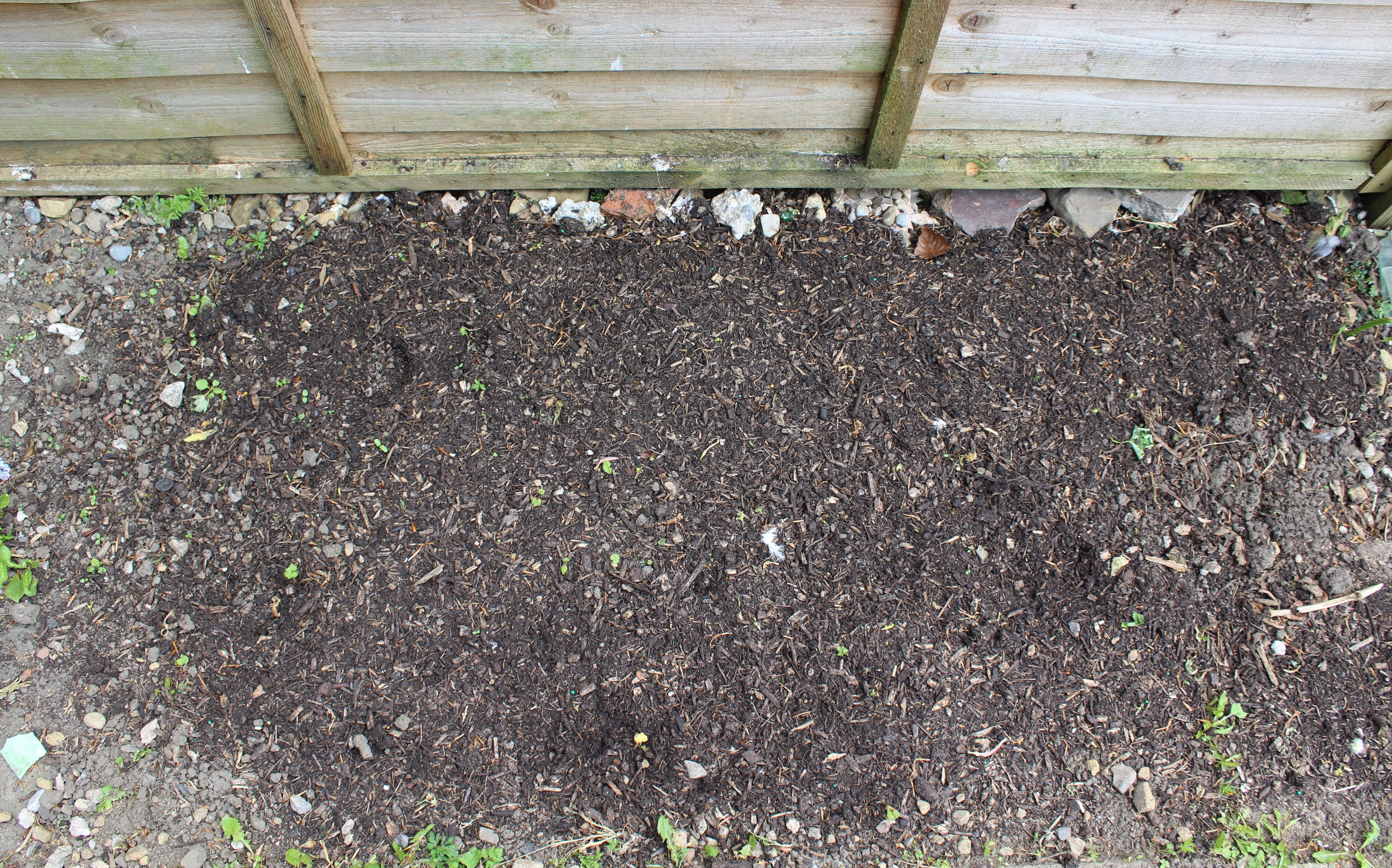 newly seeded garden soil by a wooden fence