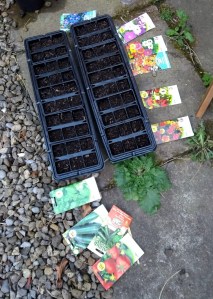black seed trays with colourful seed packets