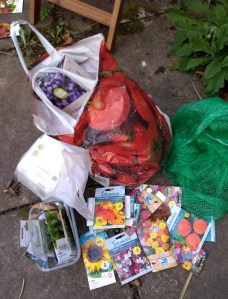 bag with seed packets